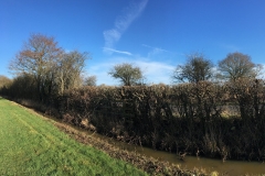 Site preparation commences at Dunsfold Park